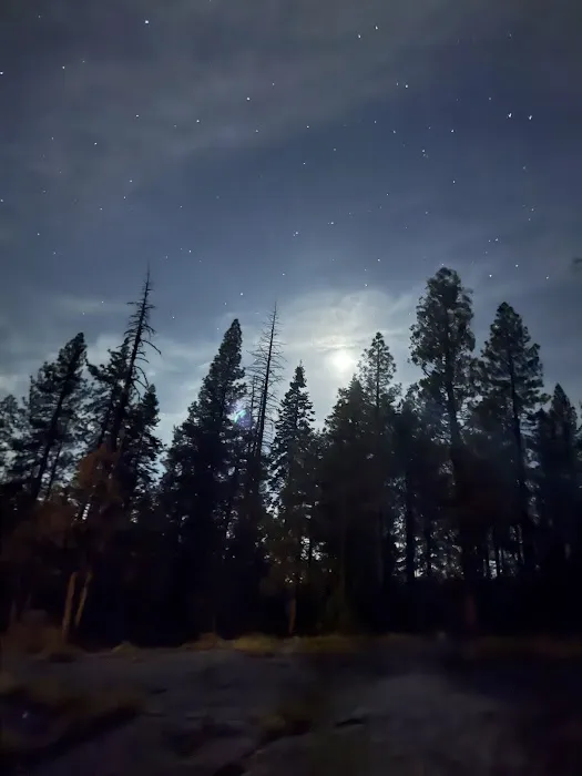 Dora Belle Campground 2
