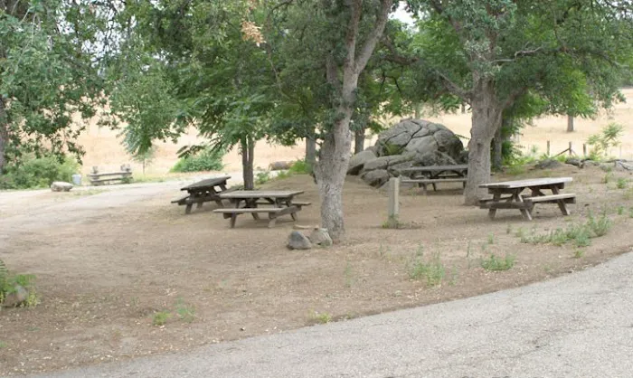 Millerton Large Group Campground 7