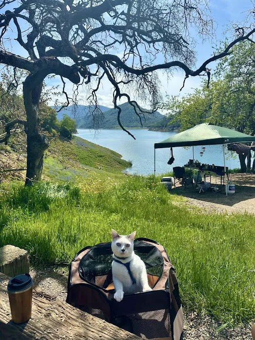 Trimmer Campground 4