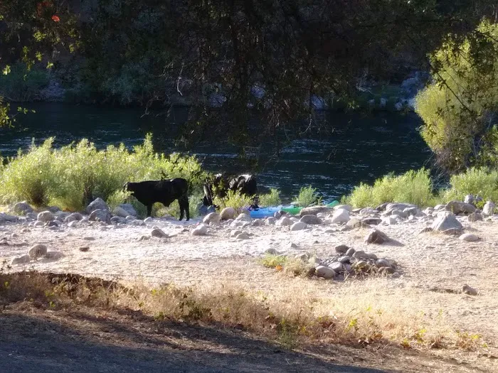 Camp 4 Campground 9