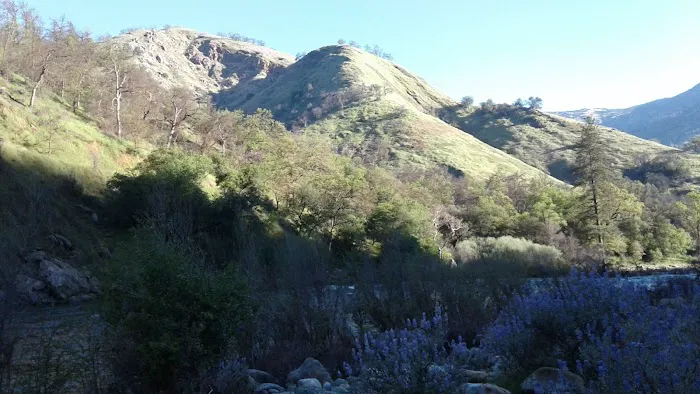 Bear Wallow Camping Area 7