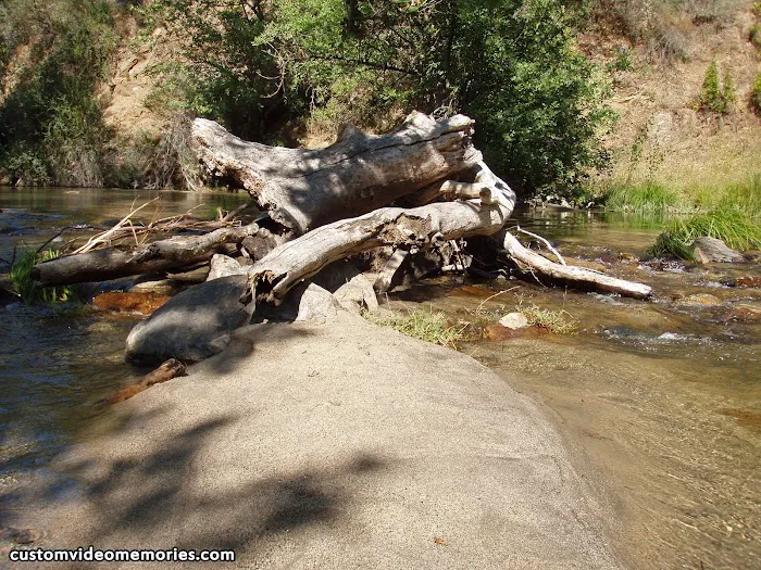 Mill Flat Campground 1