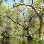 Mill Flat Campground