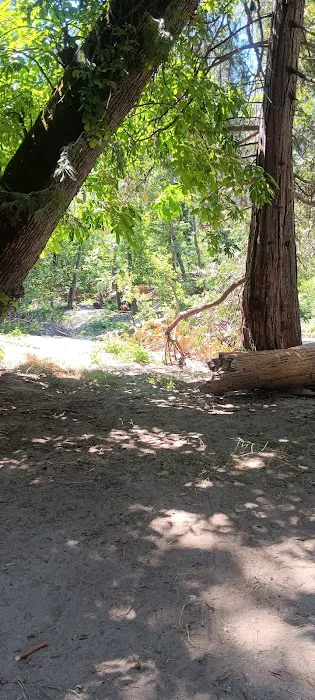 Duff Creek Campground 1