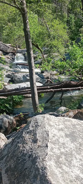 Duff Creek Campground 5