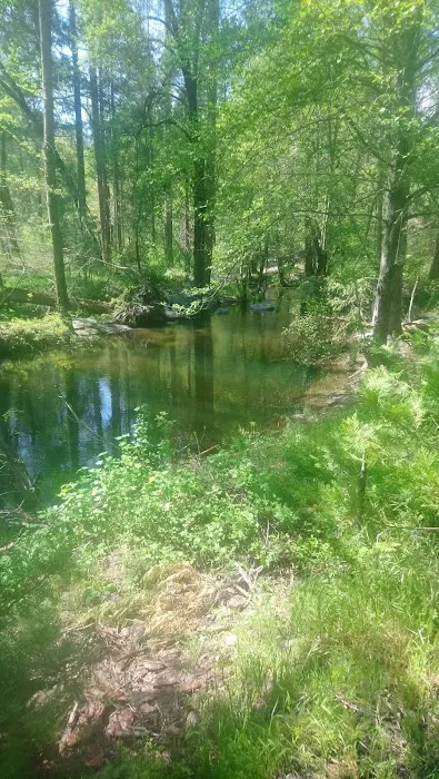 Duff Creek Campground 8