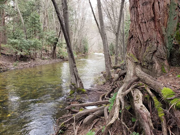 Bretz Mill Campground 7