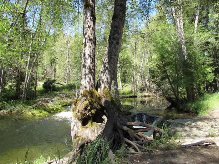 Bretz Mill Campground 3