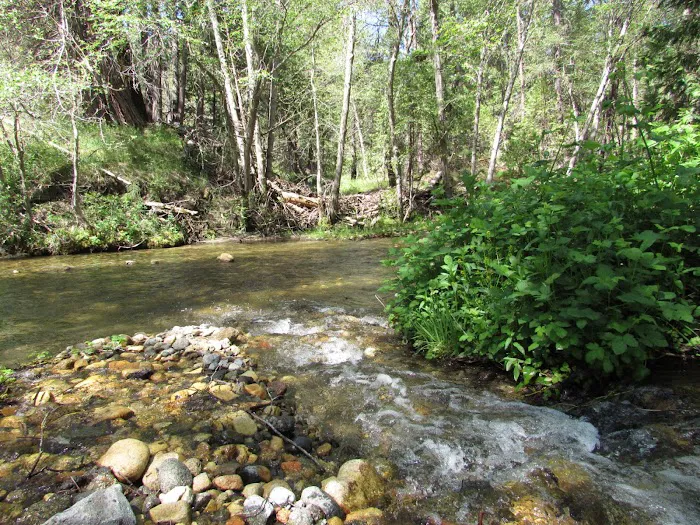 Bretz Mill Campground 4