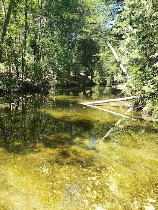 Bretz Mill Campground 8