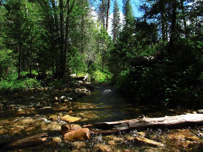 Bretz Mill Campground 9