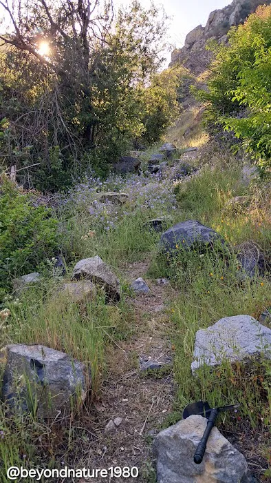 Kings River Trailhead (recgovnpsdata) 4