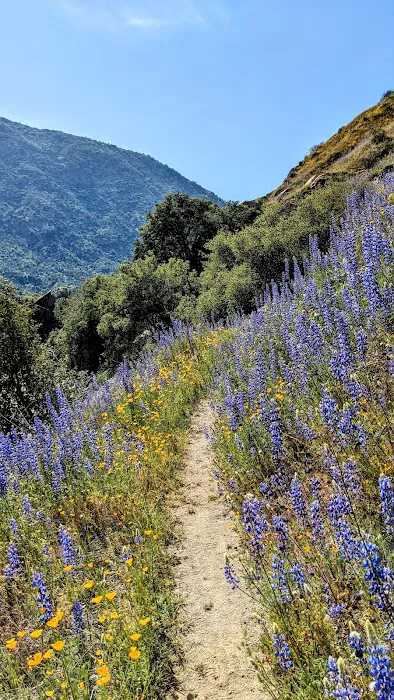 Kings River Trailhead (recgovnpsdata) 7