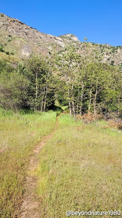 Kings River Trailhead (recgovnpsdata) 2