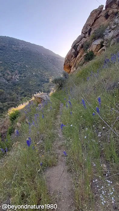 Kings River Trailhead (recgovnpsdata) 1