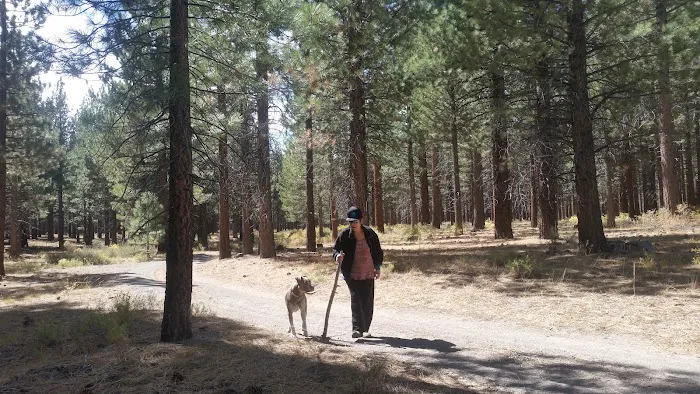 Old Shady Rest Campground 8