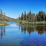 Old Shady Rest Campground
