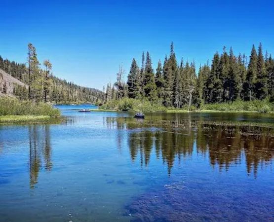 Old Shady Rest Campground
