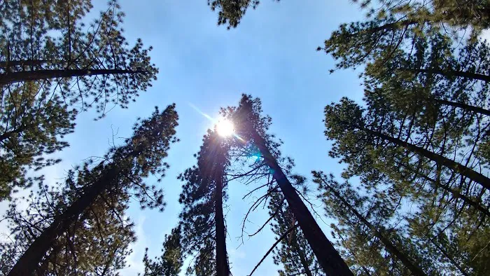 Old Shady Rest Campground 1