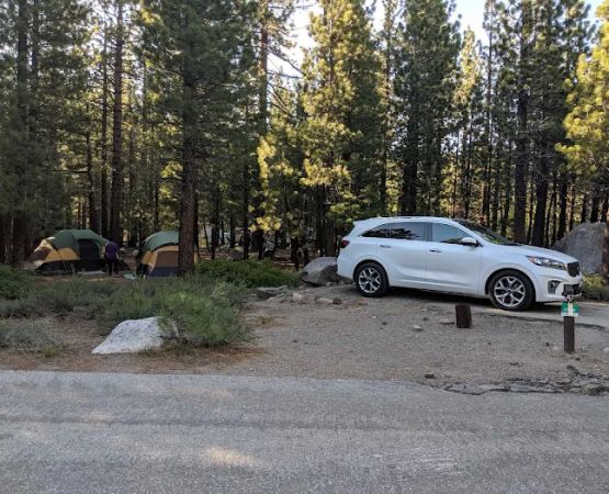 New Shady Rest Campground