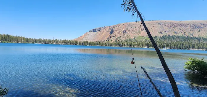 New Shady Rest Campground 3