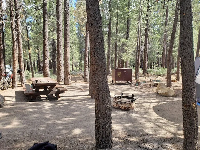 New Shady Rest Campground 1