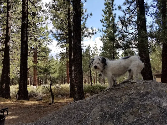 New Shady Rest Campground 9