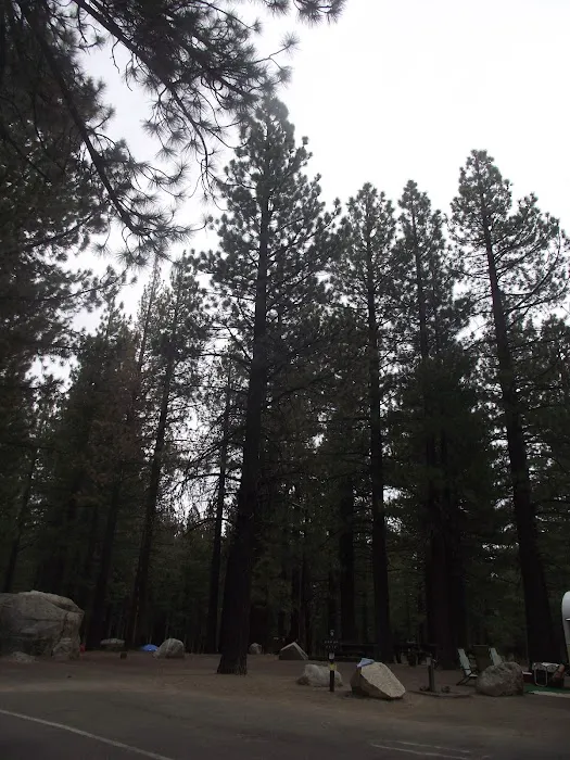 Pine Glen Group Campground 6
