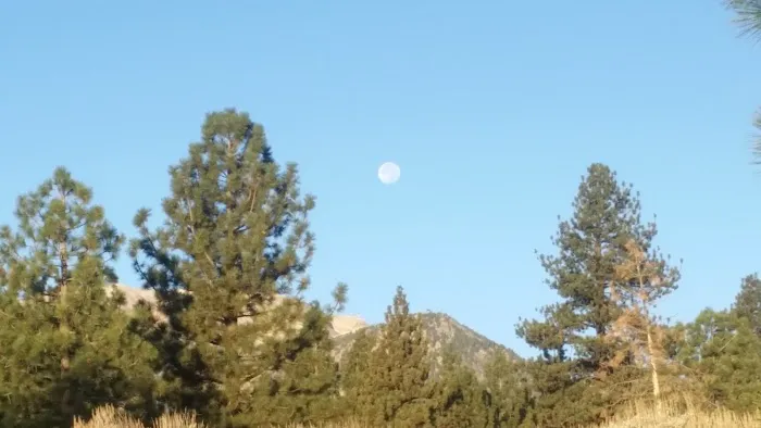 Pine Glen Group Campground 7