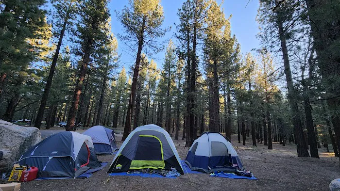 Pine Glen Group Campground 5