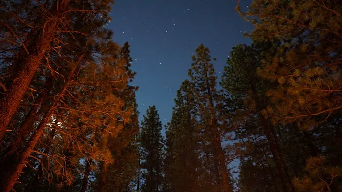 Pine Glen Group Campground 0