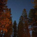 Pine Glen Group Campground