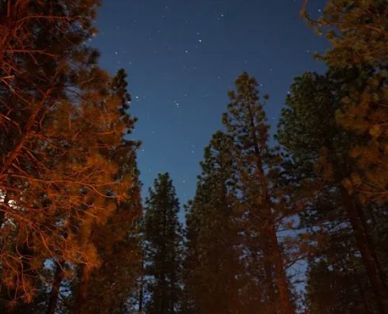 Pine Glen Group Campground