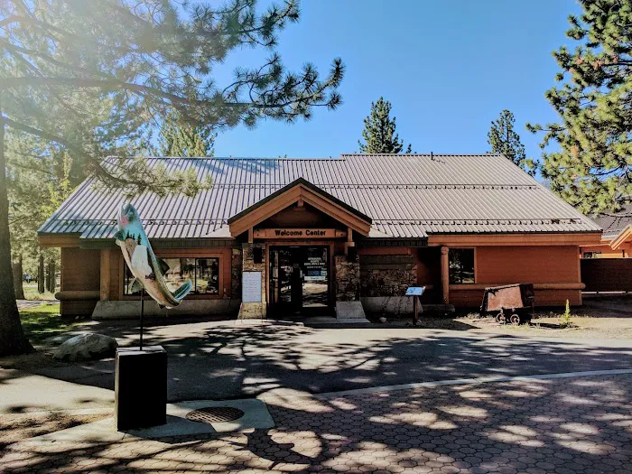 Pine Glen Group Campground 9