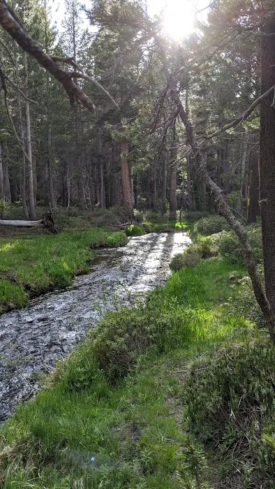 Coldwater Campground 1