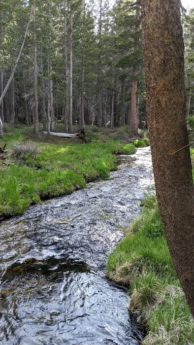 Coldwater Campground 2