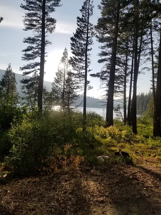 Coldwater Campground 5