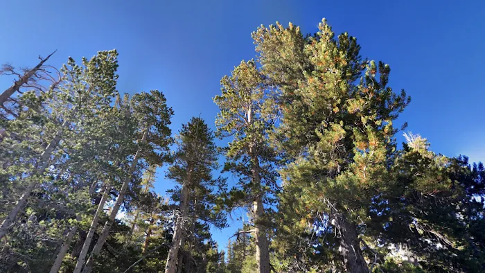 Coldwater Campground 7