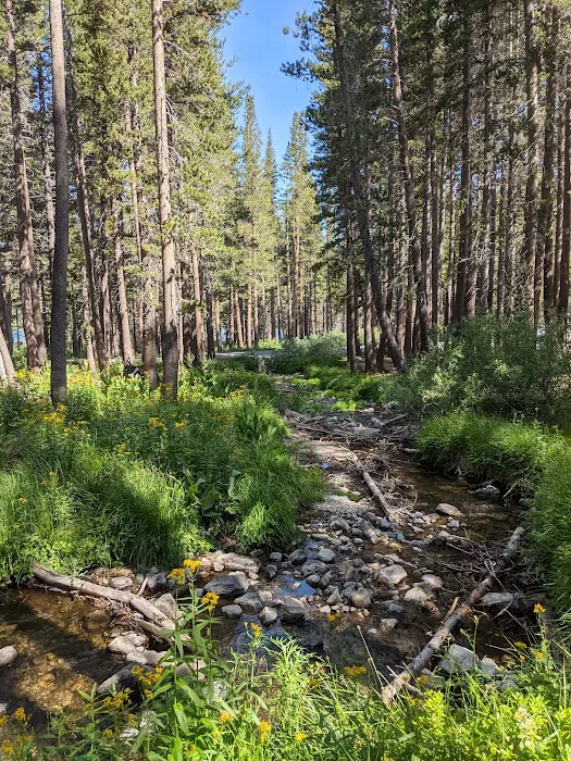 Coldwater Campground 3