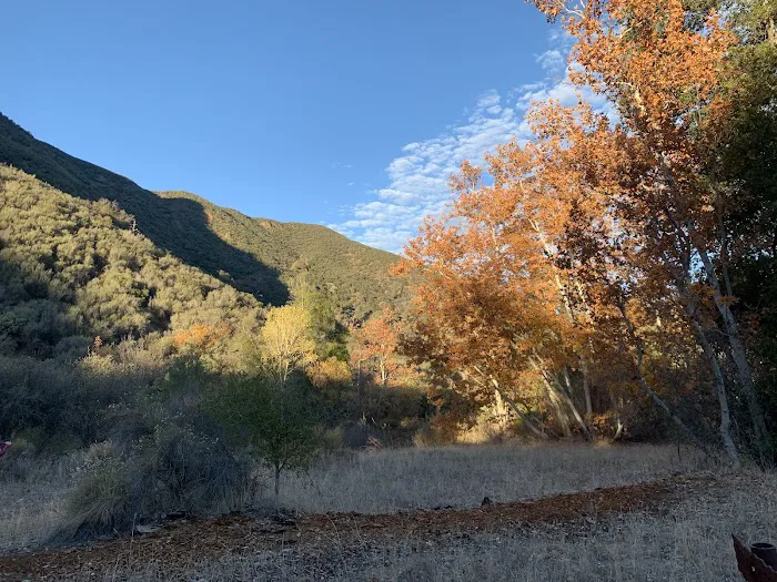 Coldwater Campground 8