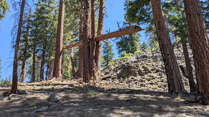 Reds Meadow Campground 3