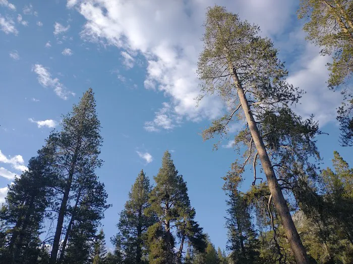 Reds Meadow Campground 2