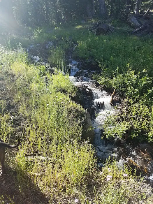 Reds Meadow Campground 7