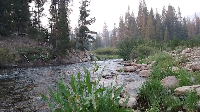 Pumice Flat Campground 0