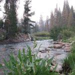 Pumice Flat Campground