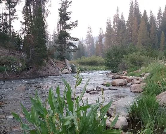 Pumice Flat Campground