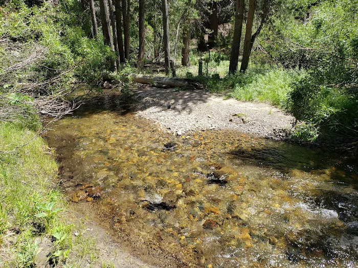 Lower Deadman Campground 8