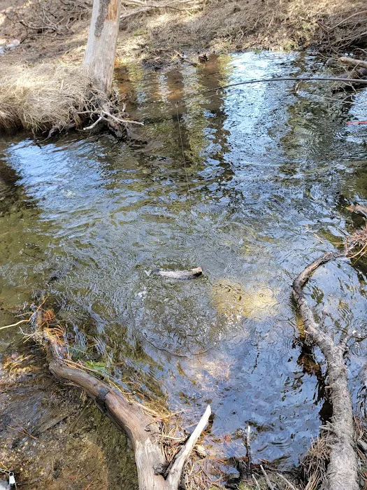 Lower Deadman Campground 9