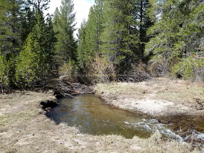 Lower Deadman Campground 5