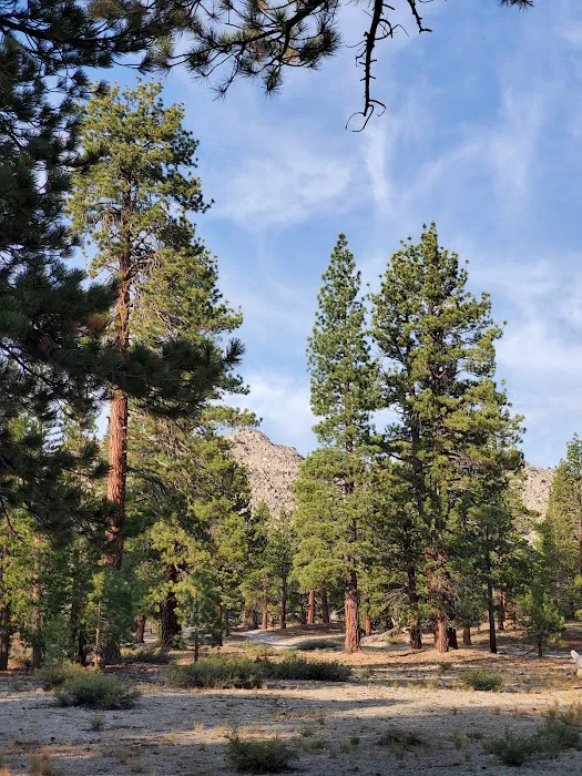 Lower Deadman Campground 1